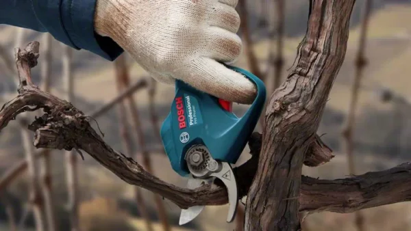 o361802v16 338624 Pro Pruner app closeup 3 16 9 update